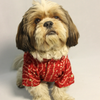 Pawgypets Bandani Kurta for Dogs (Red) Dogs-Clothing & Accessories Pawgypets Dropship