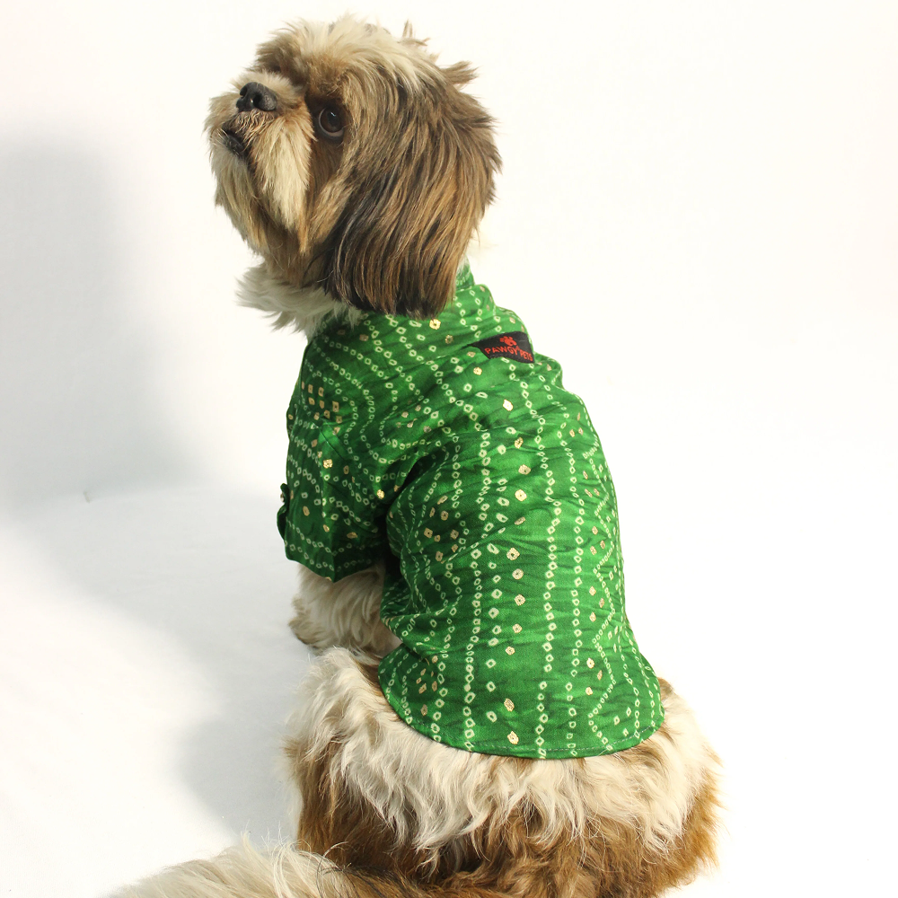 Pawgypets Bandani Kurta for Dogs (Green) Dogs-Clothing & Accessories Pawgypets Dropship 3XL