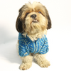 Pawgypets Bandani Kurta for Dogs (Blue) Dogs-Clothing & Accessories Pawgypets Dropship