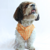 Pawgypets Tie and Dye Kurta for Dogs (Orange/Yellow) Dogs-Clothing & Accessories Pawgypets Dropship