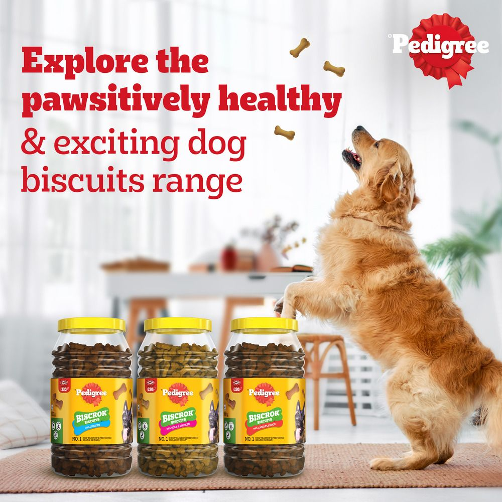 Pedigree Chicken with Milk Flavour (4+ Months) Biscrok Biscuits