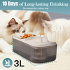 Pet Vogue Exclusive Water Fountain and Food Bowl with Ultra-Quiet Water Dispenser for Cats and Small Dogs (White) Both-Bowls & Feeders Pet Vogue