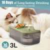 Pet Vogue Exclusive Cat Water Fountain and Food Bowl with Ultra-Quiet Pet Water Dispenser for Cats and Small Dogs (Green) Both-Bowls & Feeders Pet Vogue