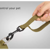 Truelove Bungee Leash for Dogs (Army Green) Dogs-Collar, Leashes, harnesses True Love