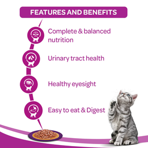 Whiskas Chicken Gravy Adult Cat Wet Food and Tuna Flavour Adult Cat Dry Food Combo