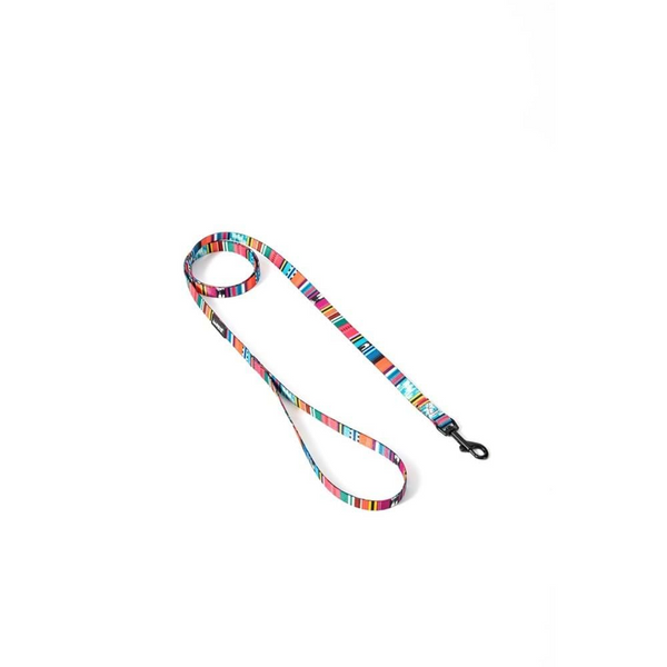 M Pets Urban Style Jazz Stripes Leash for Dogs