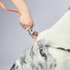 M Pets Wild Jungle Control Leash for Dogs Dogs-Collar, Leashes, harnesses M Pets