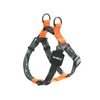 M Pets Wild Jungle Harness for Dogs Dogs-Collar, Leashes, harnesses M Pets L