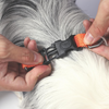 M Pets Wild Jungle Harness for Dogs Dogs-Collar, Leashes, harnesses M Pets