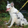 M Pets Wild Safari Control Leash for Dogs Dogs-Collar, Leashes, harnesses M Pets