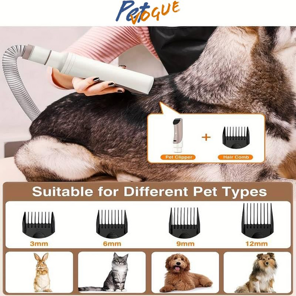 Petvogue 6 in 1 Grooming Kit for Dog & Cats