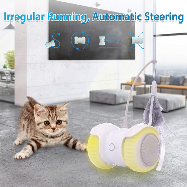 PetVogue Electric Remote Controlled LED Interactive Toy with Speed Adjustment for Cats and Kittens