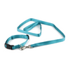 Pawpourri Nylon Webbing Leash & Collar for Cats & Dogs (Turquoise) Both-Collar, Leashes, harnesses Pawpourri Dropship S/M
