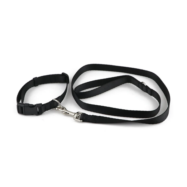Pawpourri Nylon Webbing Leash & Collar for Cats & Dogs (Black)