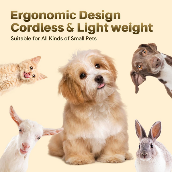 Boltz 4 in 1 IPX7 Waterproof Electric Cordless Trimmer with Nail Grinder for Dogs and Cats