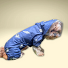 Pawgypets Astronaut Full Coverage Raincoat for Dogs and Cats Both-Clothing & Accessories Pawgypets Dropship