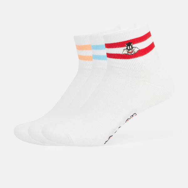 SocksXpress Looney Tunes Cartoon High Ankle Socks for Women (Pack of 3)