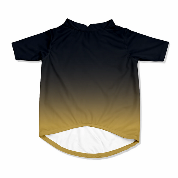 Pawsindia Gujarat Doggies T20 Pets Premier League Jersey for Cats | Indian Pet League