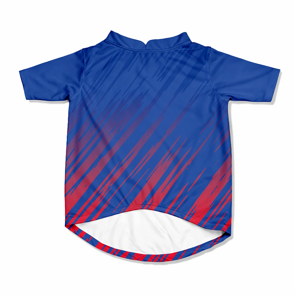 Pawsindia Delhi Canines T20 Pets Premier League Jersey for Dogs | Indian Pet League