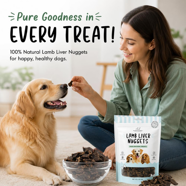 Pawpourri 100% Natural Lamb Liver Nuggets Dog Treat