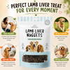 Pawpourri 100% Natural Lamb Liver Nuggets Dog Treat Dog Treats + Others Pawpourri Dropship