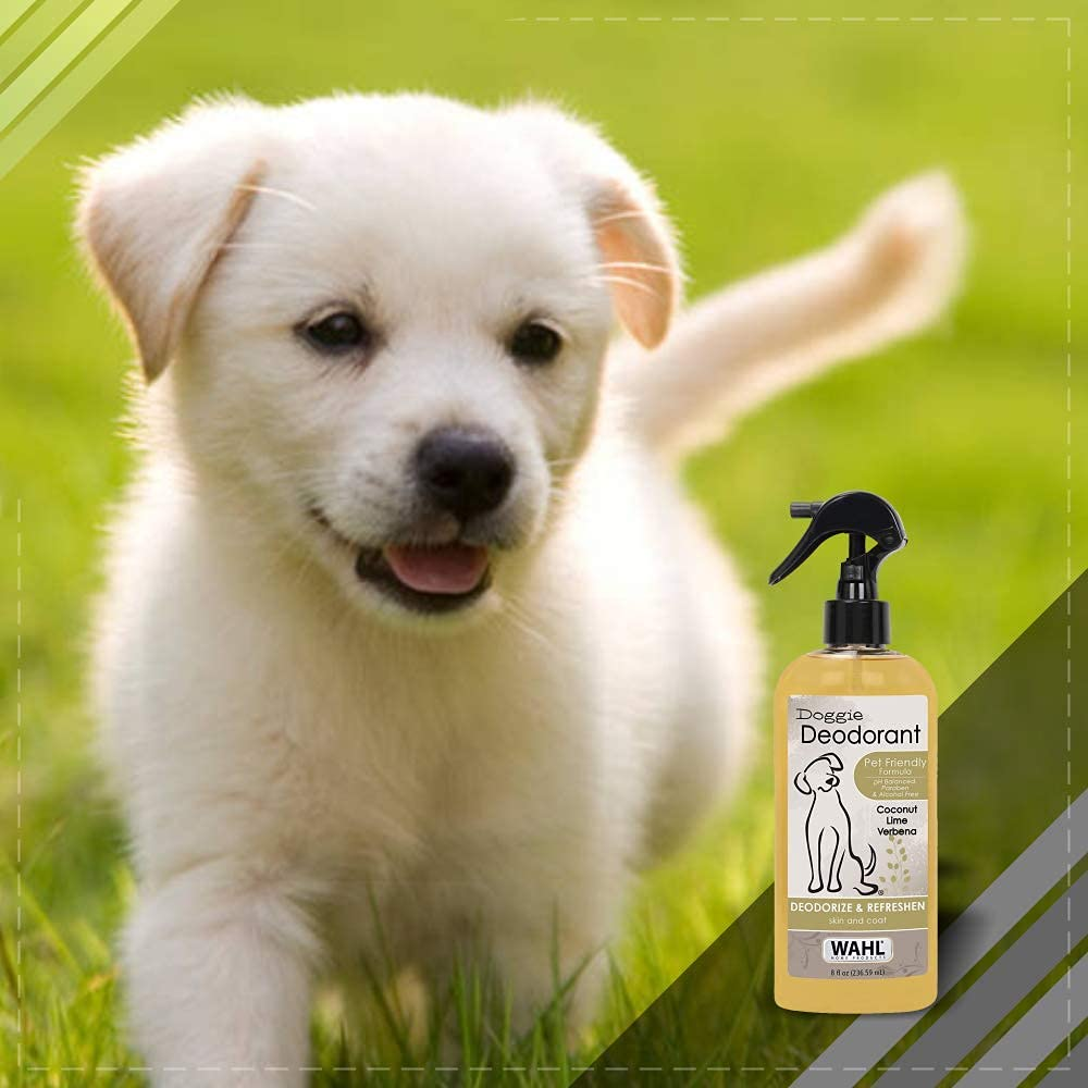 Wahl Deodorant for Dogs (Coconut Lime Verbena)