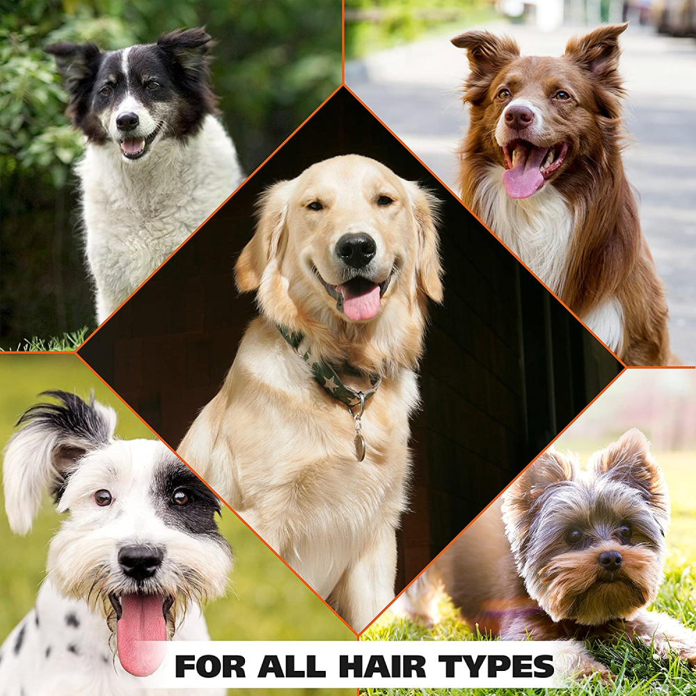 Puppy deodorant 2024