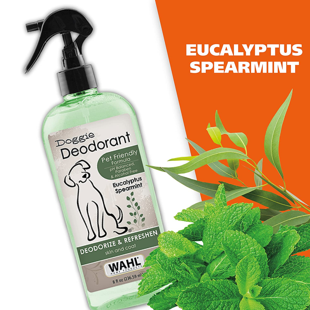 Wahl Deodorant for Dogs (Doggie Eucalyptus and Spearmint)