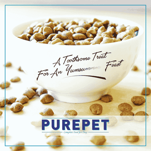 Purepet Ocean Fish Adult Cat Dry Food Cats- Dry food Purepet