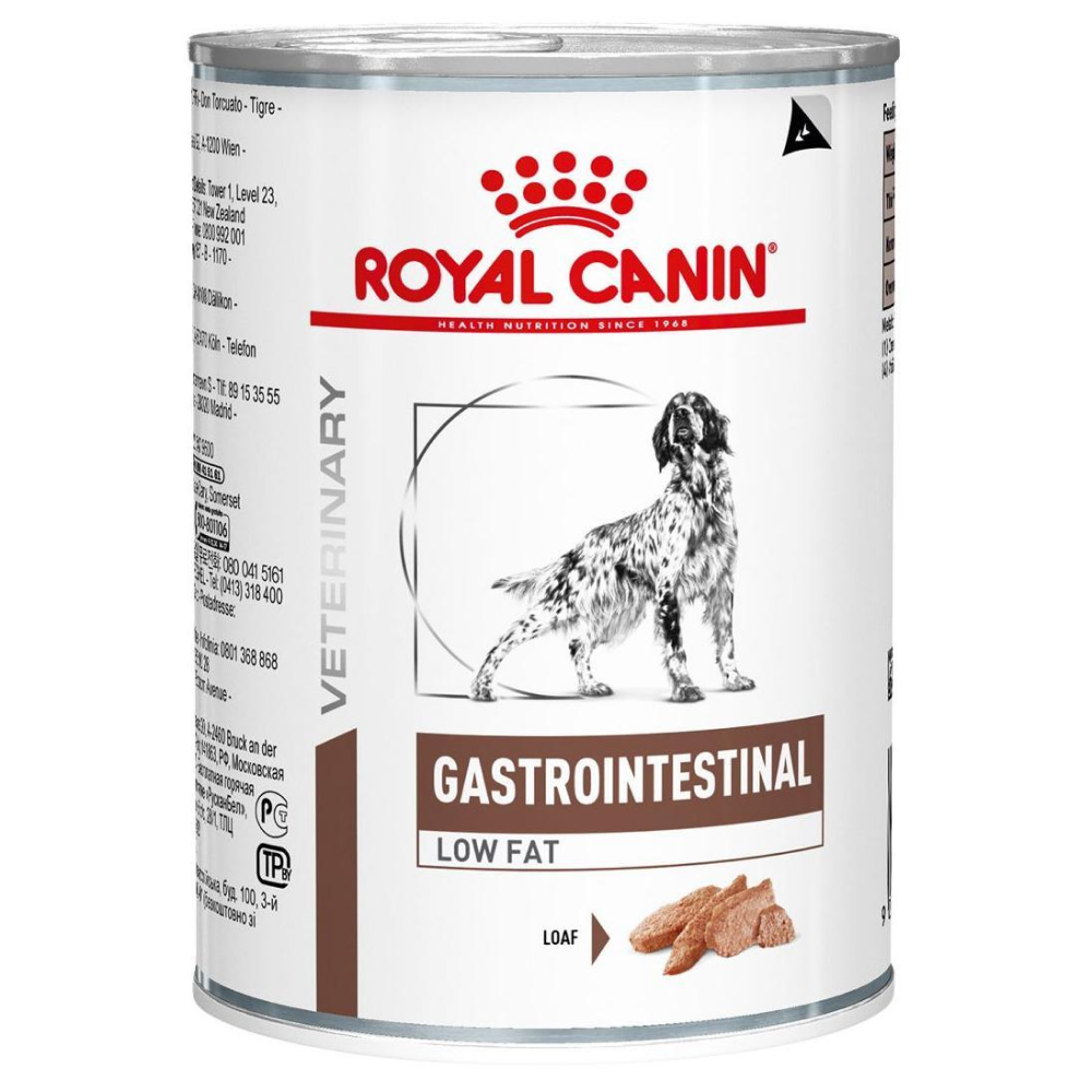 Gastro intestinal dog deals food