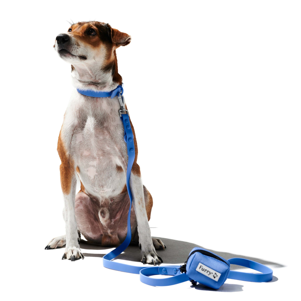 Furry & Co Weatherproof Leash for Dogs (Everest Blue)