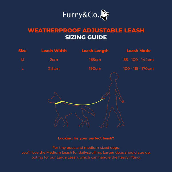 Furry & Co Weatherproof Collar and Leash for Dogs Combo (Everest Blue) - M