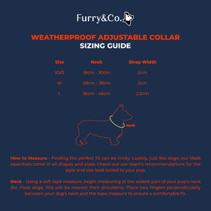 Furry & Co Weatherproof Collar for Dogs (Everest Blue)