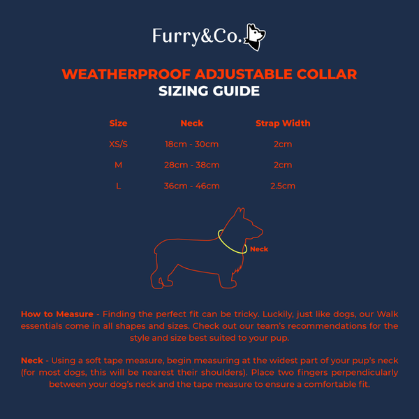 Furry & Co Weatherproof Collar and Leash for Dogs Combo (Everest Blue) - M