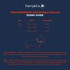 Furry & Co Weatherproof Collar and Leash for Dogs Combo (Everest Blue) - M Dogs-Collar, Leashes, harnesses Furry & Co