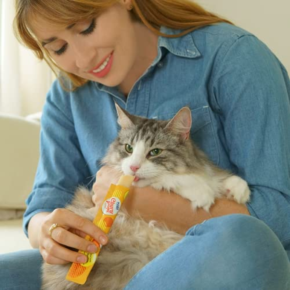 INABA Churu Pops Chicken Flavour Cat Treat Cats-Treats & Others INABA