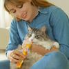 INABA Churu Pops Chicken Flavour Cat Treat Cats-Treats & Others INABA
