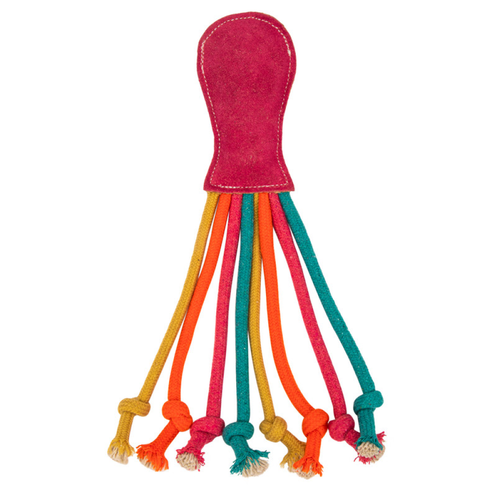 TopDog Premium Jelly Fish Toy for Dogs and Cats (Multicolour)