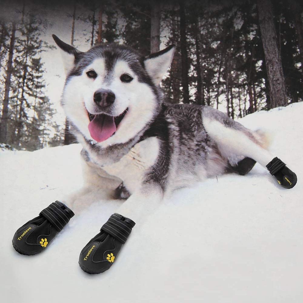 Truelove Waterproof Pet Boots for Dogs (Black, Set of 4) Dogs-Clothing & Accessories True Love