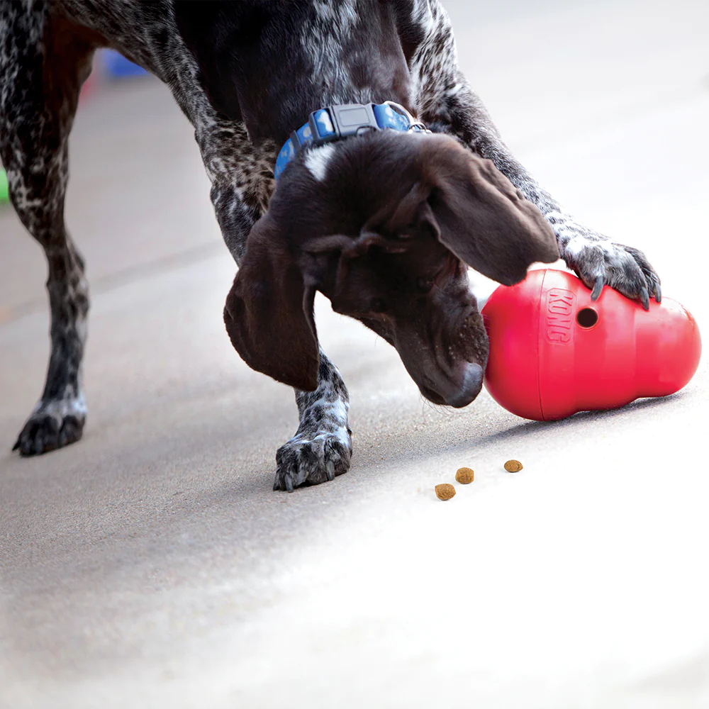 Kong Wobbler Toy for Dogs
