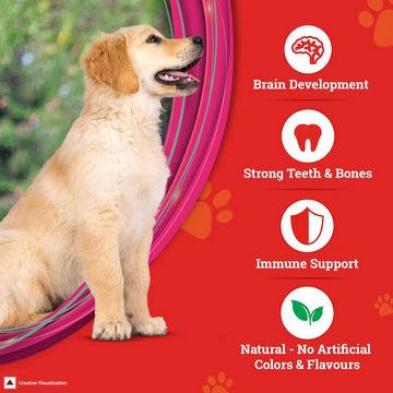 Purina SuperCoat Chicken Smartblend Puppy Dog Dry Food (Up to 12 months)