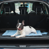 Pet Set Go Sky Bloom Mat for Dogs (Sky Blue) Dogs-Bedding, Mats & Travel Supplies Pet Set Go Dropship