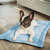 Pet Set Go Sky Bloom Mat for Dogs (Sky Blue) Dogs-Bedding, Mats & Travel Supplies Pet Set Go Dropship