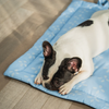Pet Set Go Sky Bloom Mat for Dogs (Sky Blue) Dogs-Bedding, Mats & Travel Supplies Pet Set Go Dropship