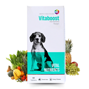 Medfly Healthcare Vitaboost for Dogs and Cats (Pack of 60 Tablets)