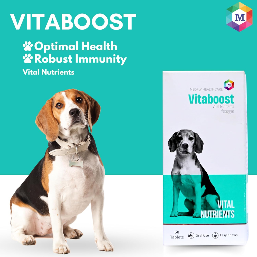 Medfly Healthcare Vitaboost for Dogs and Cats (Pack of 60 Tablets)