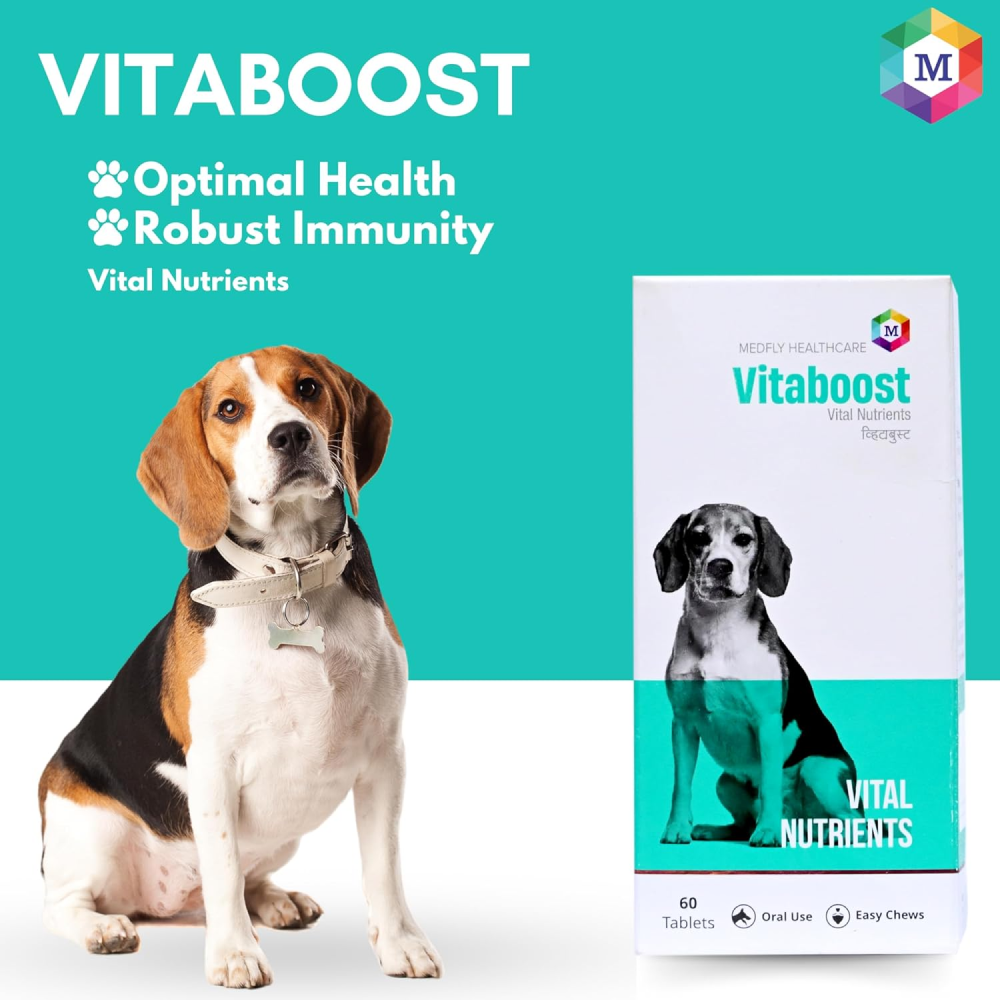 Medfly Healthcare Vitaboost for Dogs and Cats (Pack of 60 Tablets) Both-Pharmacy Medfly Healthcare Pharmacy