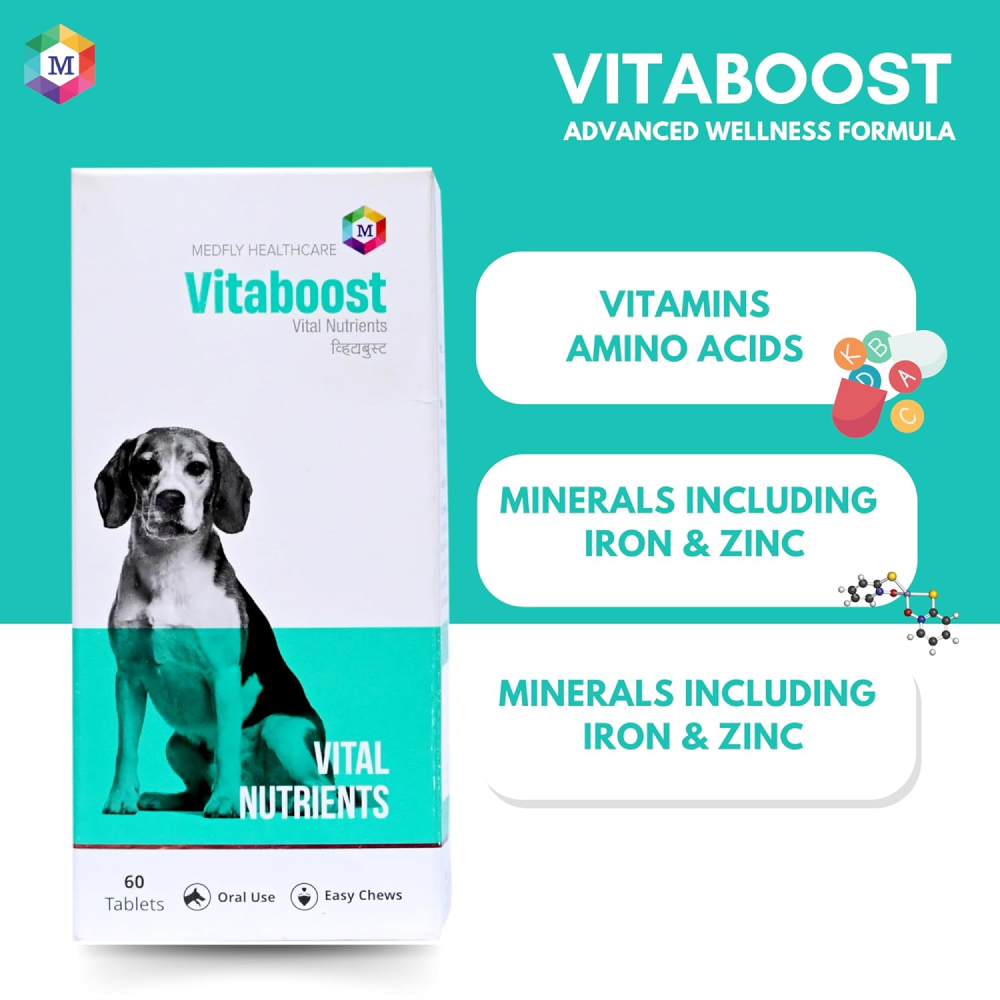 Medfly Healthcare Vitaboost for Dogs and Cats (Pack of 60 Tablets) Both-Pharmacy Medfly Healthcare Pharmacy