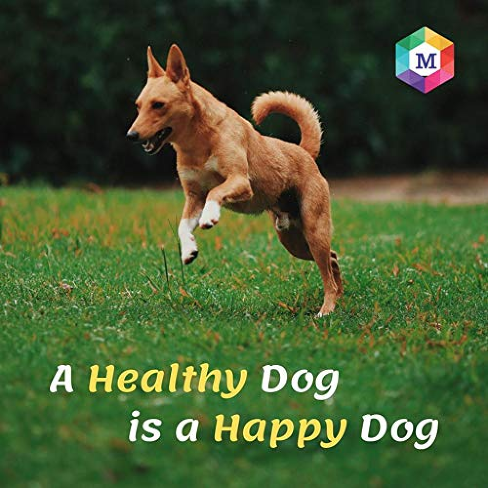 Medfly Healthcare Vitaboost for Dogs and Cats (Pack of 60 Tablets) Both-Pharmacy Medfly Healthcare Pharmacy