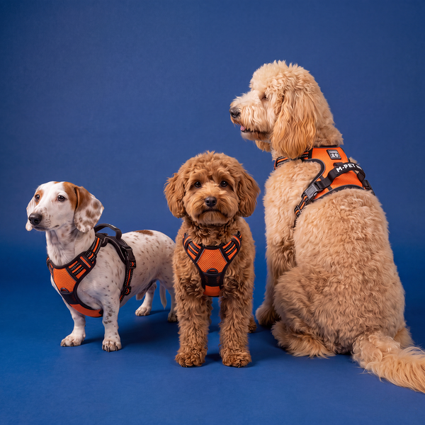 M Pets Water Resistant 3buckle Hiking Harness for Dogs (Orange)